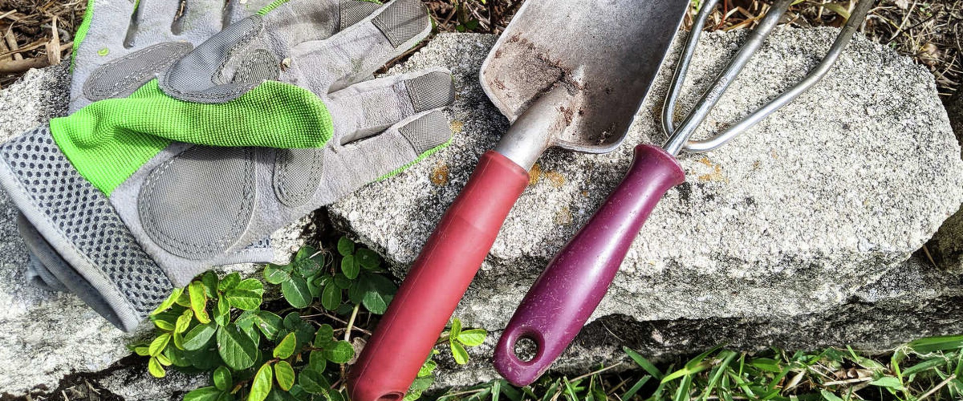 Gardening Tools: The Essential Guide for Gardeners