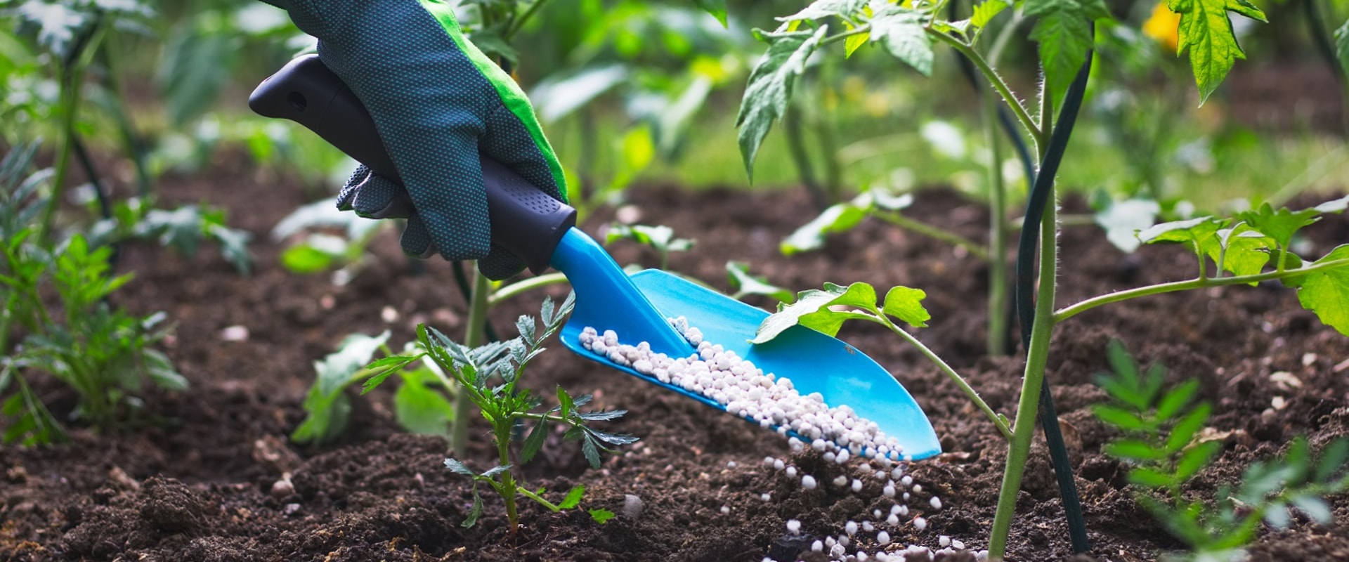 Gardening with the Best Fertilizers for a Healthy Garden