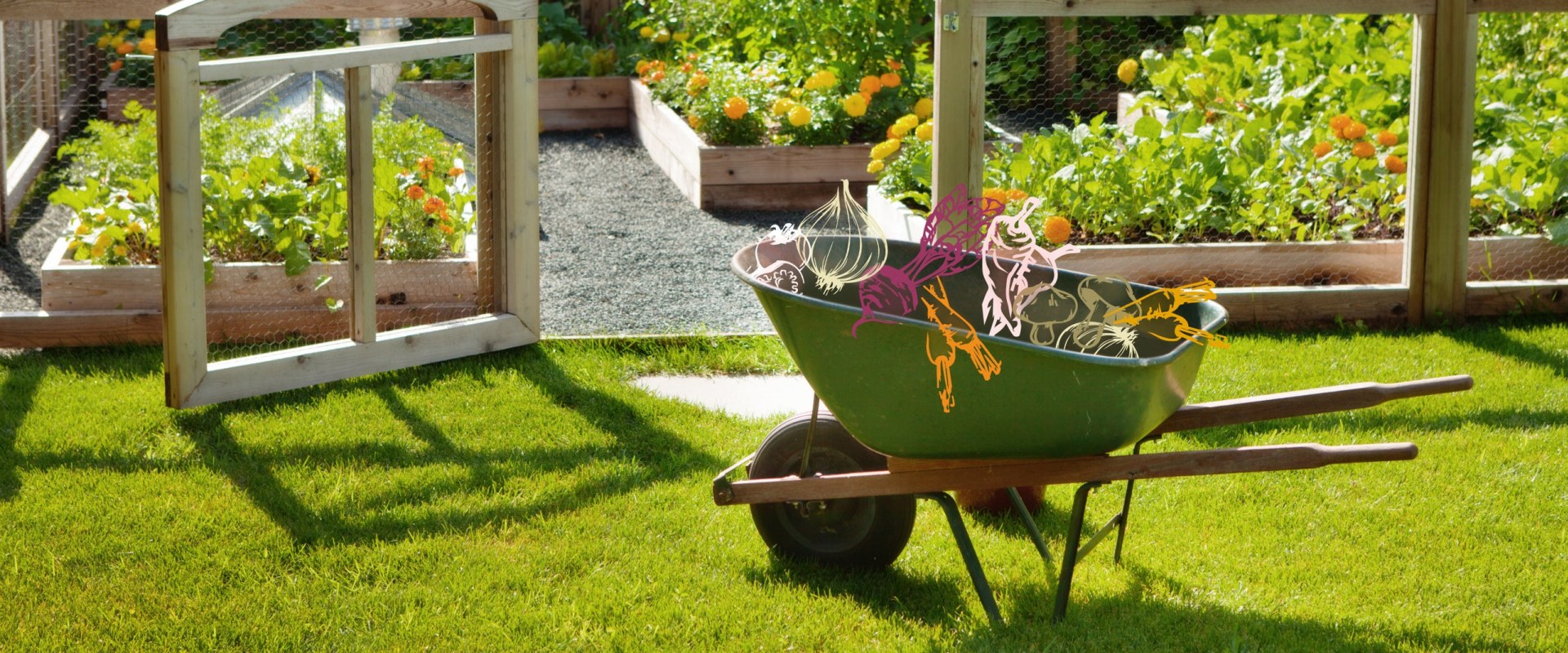 The Cheapest Way to Start a Garden: A Guide for Beginners