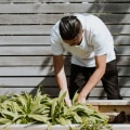 Gardening: Is It Worth It Financially? A Financial Expert's Perspective