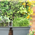 Vertical Gardening: Maximizing Your Garden Design with Vertical Space