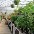 The Three Essential Factors for Horticulture Success