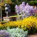 Designing a Garden with Native Plants: A Guide for Homeowners