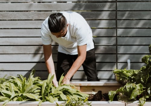 Gardening: Is It Worth It Financially? A Financial Expert's Perspective