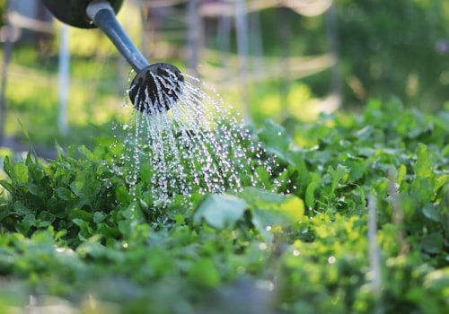 The 4 Most Crucial Factors to Consider When Choosing a Garden Site