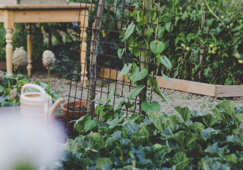 Grow Your Own Edible Garden: A Comprehensive Guide