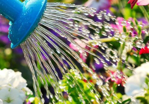10 Proven Ways to Conserve Water in Your Garden