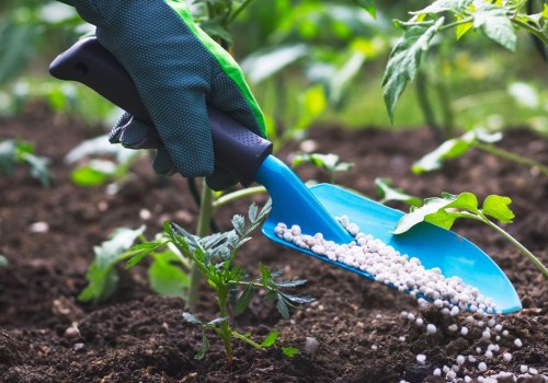 Gardening with the Best Fertilizers for a Healthy Garden