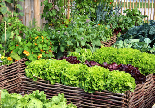 Gardening for Optimal Growth: A Guide to Maintaining Your Garden
