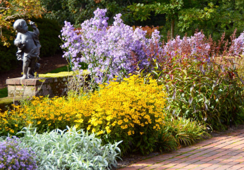 Designing a Garden with Native Plants: A Guide for Homeowners